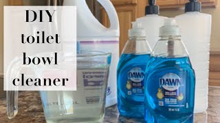 DIY Toilet Bowl Cleaner [upl. by Norrej]