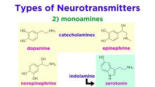 Neurotransmitters Type Structure and Function [upl. by Galatia239]