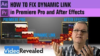 Fixing Dynamic Link [upl. by Ariaj]