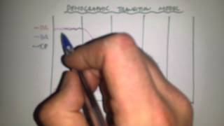 The Demographic Transition Model [upl. by Otrebmal]