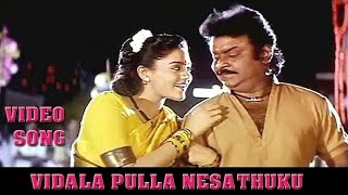 vadi pulla vadi video song from Meesaya Murukku HD mp4 [upl. by Ociredef]