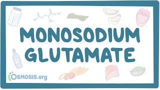 Monosodium glutamate [upl. by Osmo]