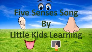 Nursery RhymesFive Senses Song [upl. by Ayal]