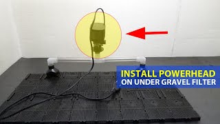 Setting Up Undergravel Filter Using Submersible Powerheads [upl. by Arotak]