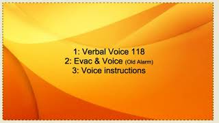 Fire Alarm Voice Evacuation Alarm Example [upl. by Kwan]