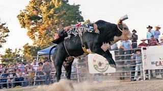 PURAS MONTAS PERRONAS EN ESTE JARIPEO rancho el capricho en ceres california [upl. by Weinhardt]