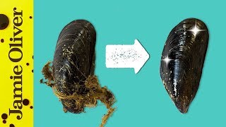 How To Prepare Mussels  1 Minute Tips  Bart’s Fish Tales [upl. by Beniamino321]