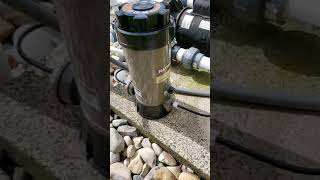 How to use Hayward Chlorinator [upl. by Girand851]