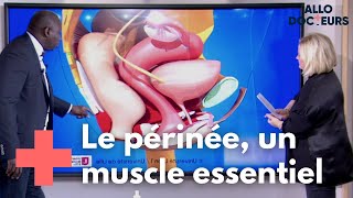 Comment protéger votre périnée   Allo Docteurs [upl. by Miltie]