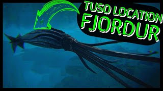 FJORDUR TUSOTEUTHIS LOCATION [upl. by Fax]