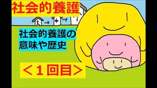 【保育士試験：社会的養護】その１世の中の社会的養護を見てみよう [upl. by Nerrej403]