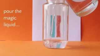 Water Refraction Experiment [upl. by Bellanca]