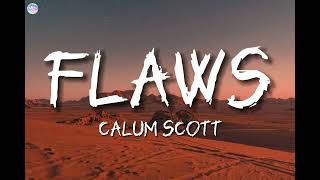 Flaws  Calum Scott   Lyrics [upl. by Nerrag]