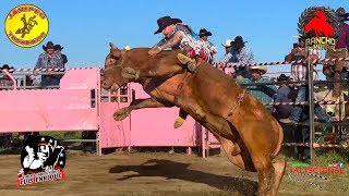 ¡ASÍ SE VIVEN LOS JARIPEOS EN EUA RANCHO EL MORRAL EN FRESNO CALIFORNIA [upl. by Weisbart48]