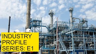 The Petrochemical Industry  Industry Profile Series  E1 [upl. by Halian]