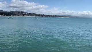 Boneyard Surfing  Doheny State Beach  Dana Point CA  March 20 2022 [upl. by Laurie]