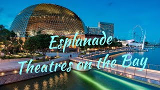 Esplanade Singapore Iconic Buildings [upl. by Robinette101]