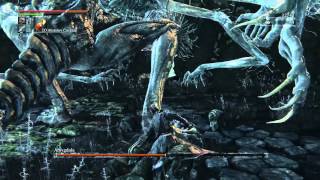 Bloodborne Boss Guide How to beat Amygdala [upl. by Aggie]