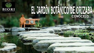 CONOCE EL JARDÍN BOTÁNICO DE ORIZABA  BIORI  ORIZABA VERACRUZ  IN MADUROS [upl. by Yregerg]