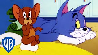 Tom y Jerry en Latino  Dibujos animados clásicos 115  WB Kids [upl. by Poyssick549]