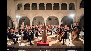 C SaintSaëns Il Carnevale degli Animali Il Cigno [upl. by Eelyk]