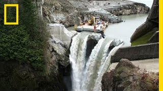 After Largest Dam Removal in US History This River Is Thriving  National Geographic [upl. by Marya204]