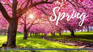 Classical Music for Spring [upl. by Occer834]