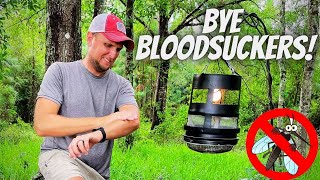 How to Make a DIY Mosquito Trap That Actually Works [upl. by Cirdet]