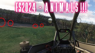 Finding ANIMALS in MSFS2024 [upl. by Shamrao757]