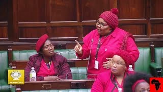 EFF Ladies Causing Chaos In Parliament [upl. by Anod]