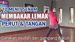 SENAM membakar lemak perut dan tangan [upl. by Anaoj]