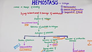 Hemostasis  Easy Flowchart  Physiology [upl. by Boeschen]