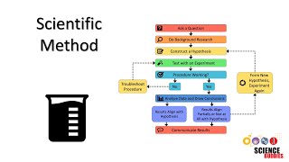 The Scientific Method Steps and Examples [upl. by Anurb875]