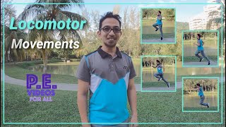 Locomotor movements explained [upl. by Eineg]