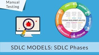 Software Development Life Cycle  SDLC Phases explained in detail for beginners [upl. by Morry484]