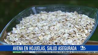 Salud en hojuelas conozca las propiedades de la avena [upl. by Celin]