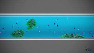 What is biofilm [upl. by Nudd172]