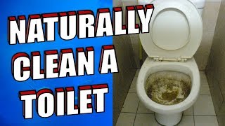 How To Clean a Toilet using Baking Soda and Vinegar [upl. by Moshell]