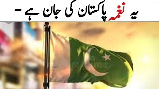 Love You Pakistan 14 August Songs 2024 by Fahim Jafri  Pakistani Song New Mili Nagma 2024 [upl. by Zetnauq]