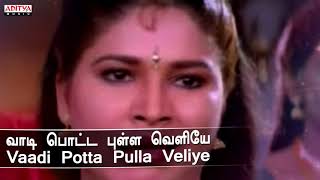 Vaayadi petha pulla song😘 [upl. by Giess256]