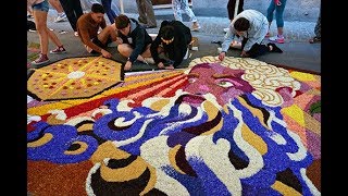 Infiorata di Spello [upl. by Leissam]