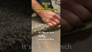 How To Transition Carpet To Vinyl Plank Flooring [upl. by Vardon]