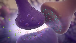 Glutamate Modulation  MOA Animation [upl. by Baal677]