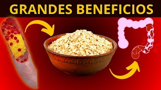 8 GRANDES BENEFICIOS de la AVENA para tu SALUD [upl. by Rico977]