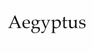 How to Pronounce Aegyptus [upl. by Ayerim]