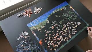 Ravensburger 1000 Pieces Jigsaw Puzzle Time Lapse [upl. by Las]