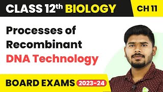 Processes of Recombinant DNA Technology  Biotechnology Principles and Processes  Class 12 Biology [upl. by Flemming144]