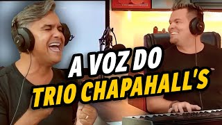 Alemão do forró e Carlinhos Rocha cantam sucessos do Trio Chapahalls [upl. by Barram]