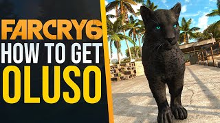 How to get the BEST AMIGO Oluso in Far Cry 6 [upl. by Friedman]