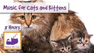 8 HOURS of Relaxing Music for Cats and Kittens [upl. by Odine]